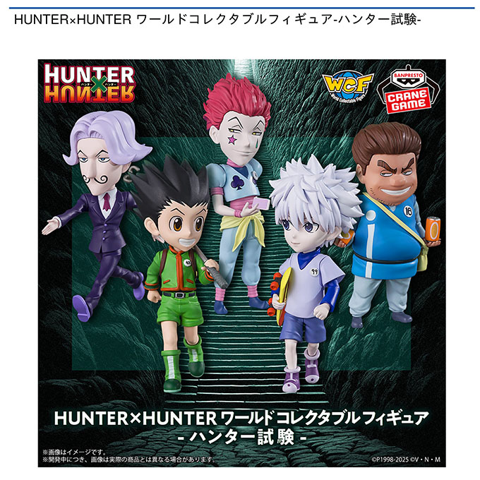HUNTER×HUNTER ワールドコレクタブルフィギュア-ハンター試験-